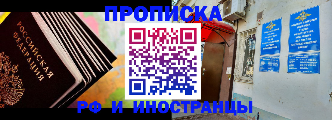 прописка штамп в Кингисеппе